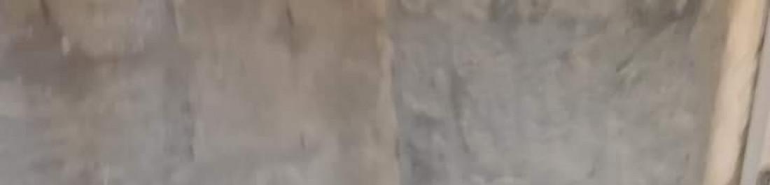 FB_IMG_1644913469996