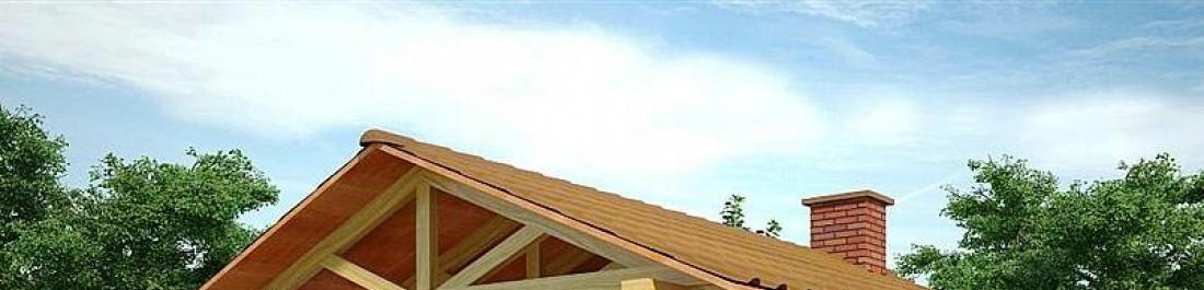 label.cover - Димитър Димитров