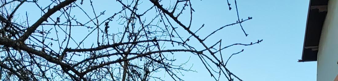 IMG-3e0e1eaf0701200b8f365459ec05610f-V