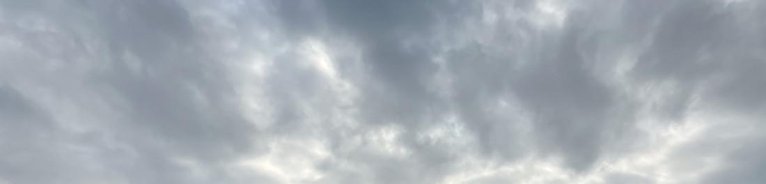 label.cover - Nikolay Krumow