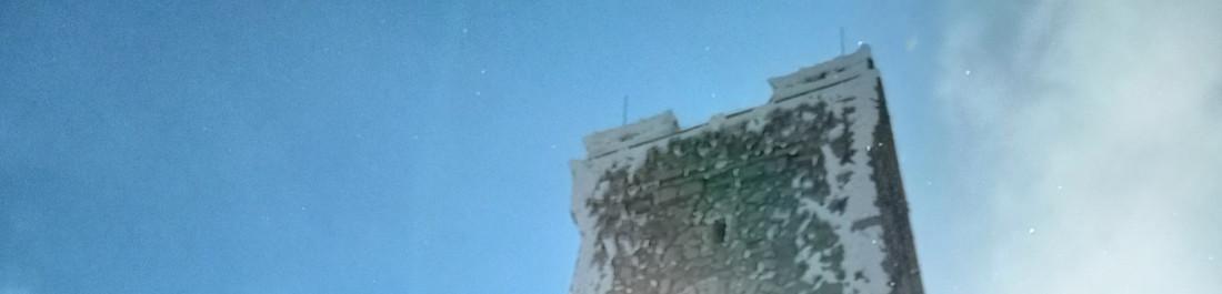 label.cover - Станислав Димитров