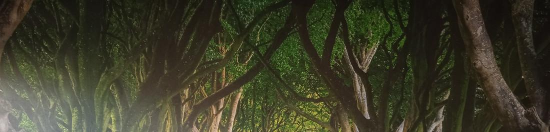 label.cover - Костадин Ралчев