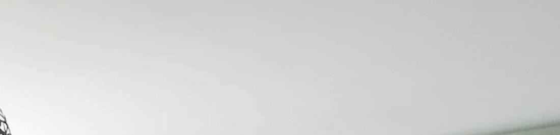 9D319AB8-7753-4587-8383-979A843BEFCE