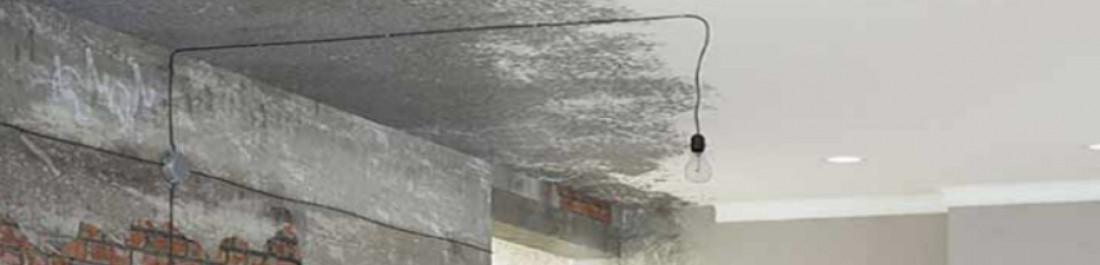 label.cover - Любо Стефанов