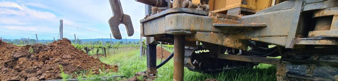 label.cover - Нася Димитрова