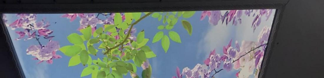 label.cover - Тома Тураноглу