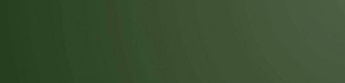 label.cover - Radoslav Petkov