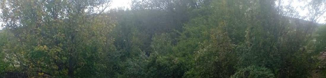 IMG-a72b41859023f57692dd6b06669c4b6b-V