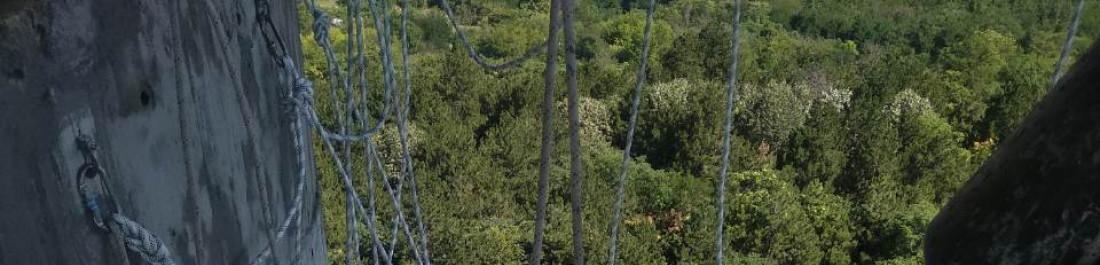 label.cover - Боян Митовски