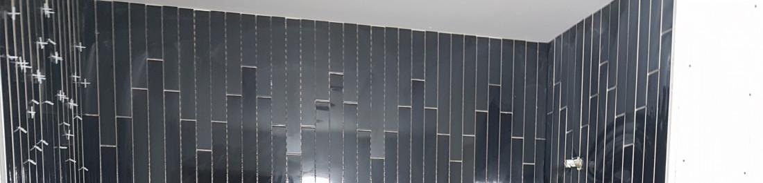 label.cover - Ганчо Митев