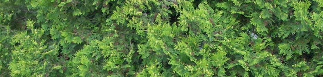 Screenshot_20231226_090255