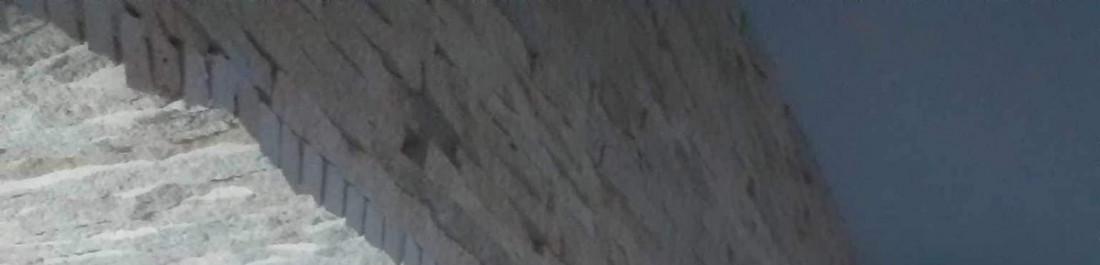 IMG-d478d74cdc6bb5641d0b807c7d39ec31-V