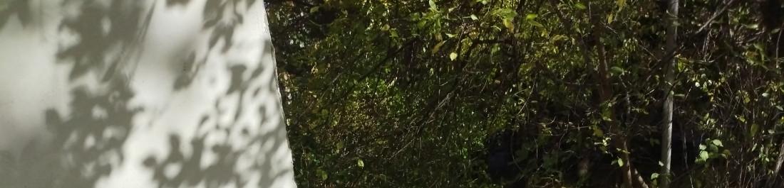 IMG_20241104_112334_1