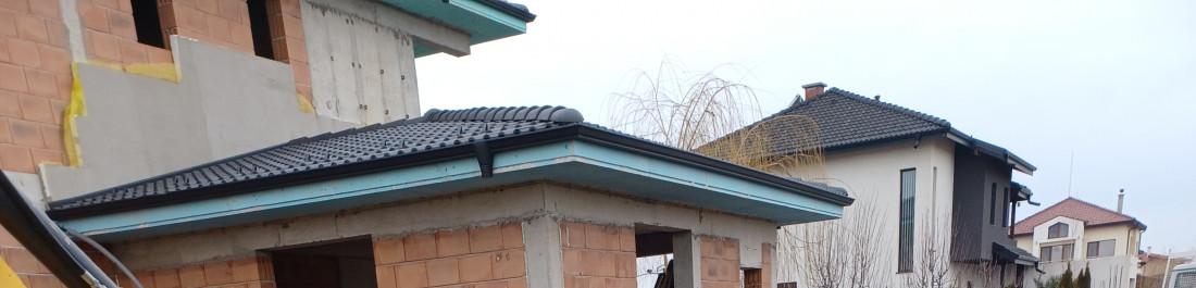 label.cover - Димитър Боснев