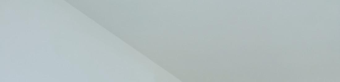 label.cover - Максим Чапаев