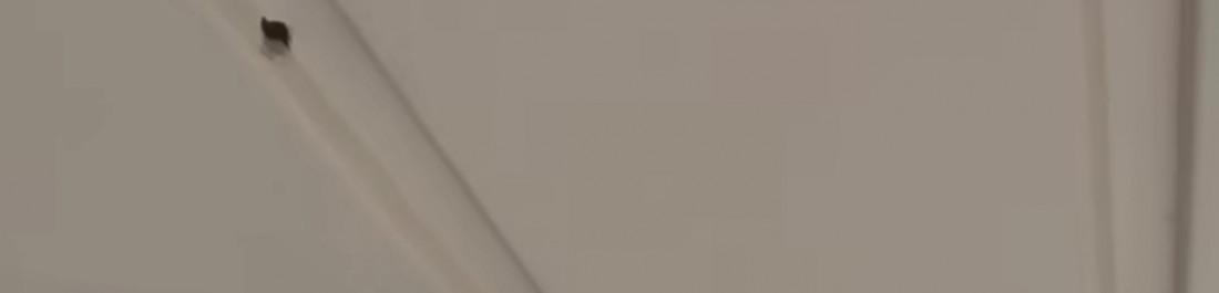 label.cover - Даниел Донев