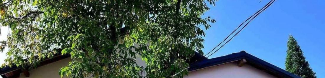 label.cover - Михаил Курдогло