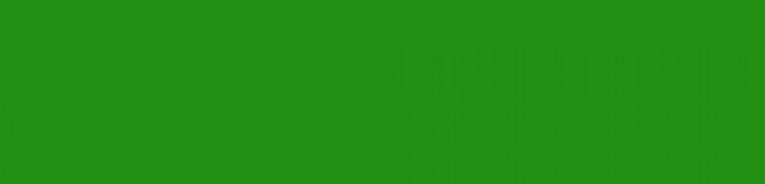 label.cover - Борислав Странджев