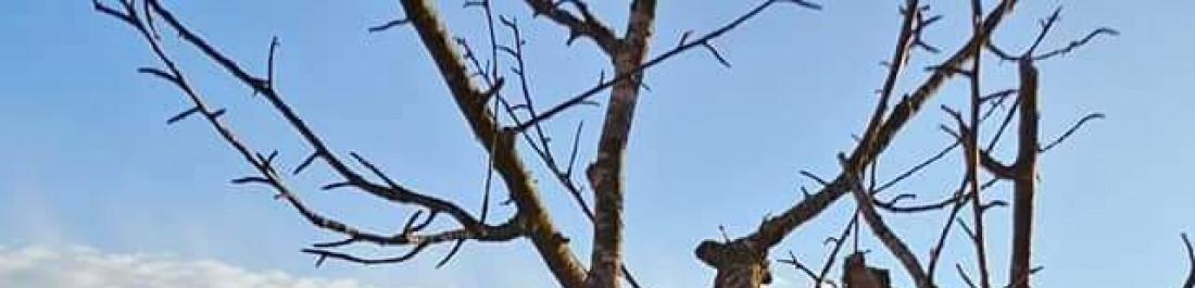 FB_IMG_1733090093677