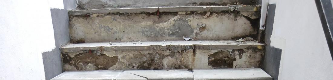 label.cover - Asen Asenov