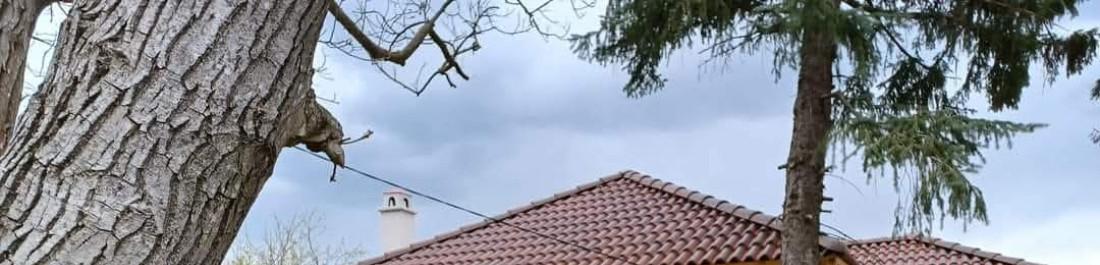 label.cover - Стивън Трайков