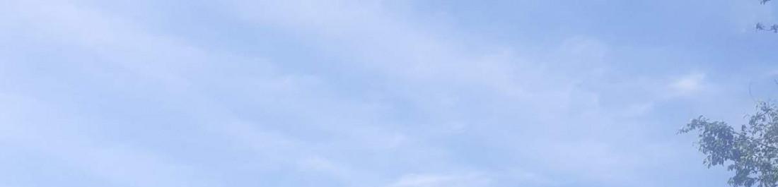 IMG-1be21a47e6a3c4601c308fc040c5b763-V