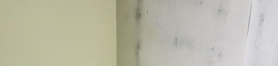 label.cover - Даниел Тенев