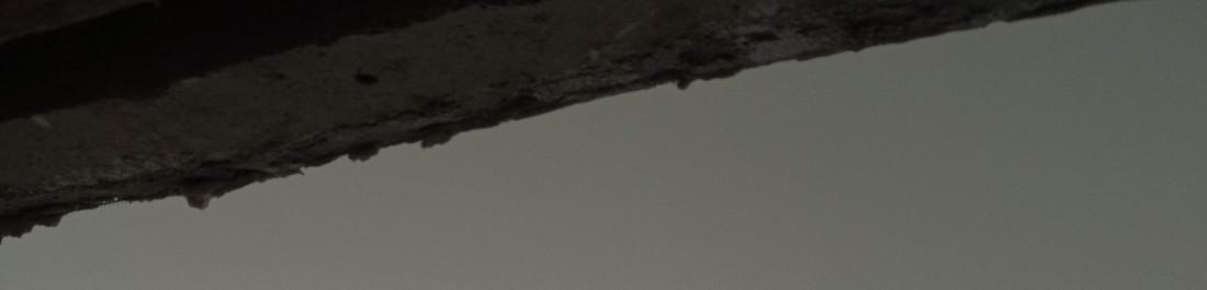 1673522025612 - Copy