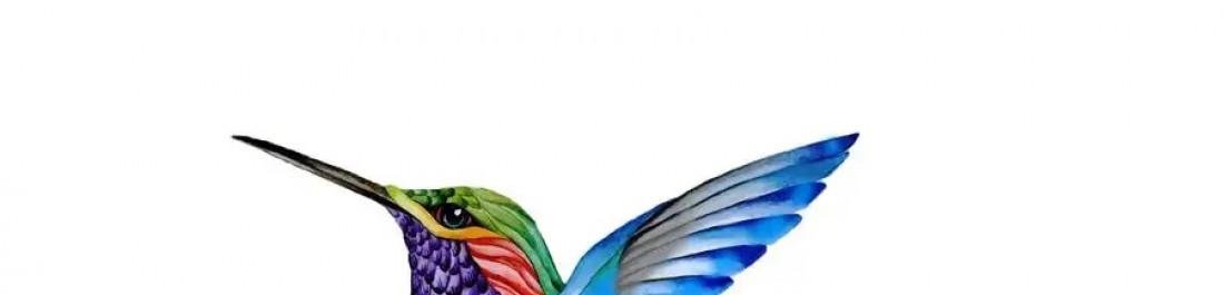 label.cover - Димитър Пенчев