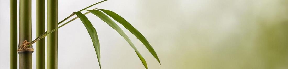 label.cover - Rally Fortuna