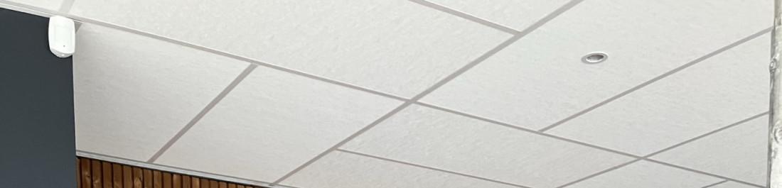 viber_image_2025-11-23_17-56-46-709