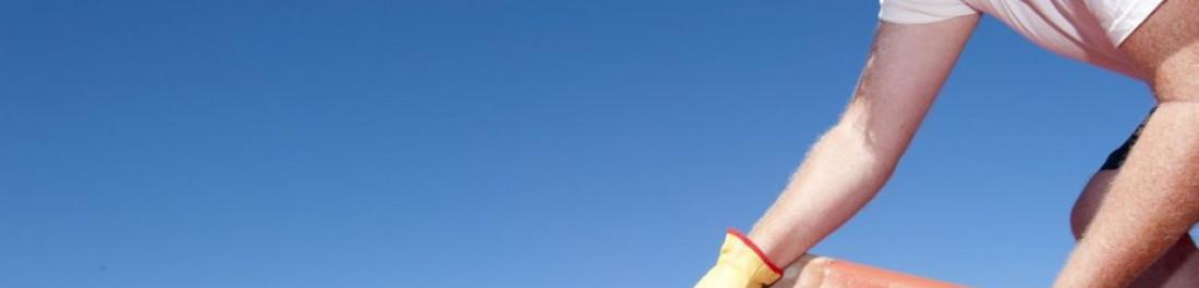 label.cover - Kolio Dimitrov