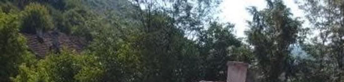 label.cover - Toni Naidenov