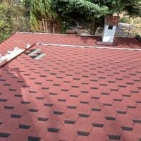 Профилна снимка - Николай Иванов