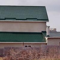 Профилна снимка - римен петров