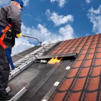 Профилна снимка - Васил Любомиров