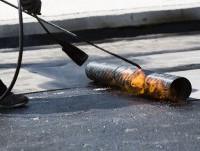 Профилна снимка - Давид Траянов