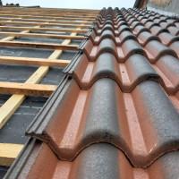 Профилна снимка - Васил Асенов