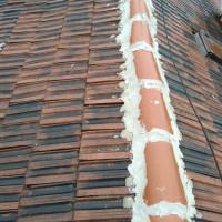 Профилна снимка - Qnko Mishov