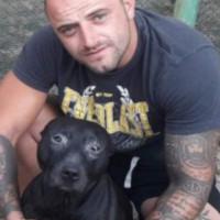 Профилна снимка - Радослав Гусов