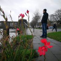 Профилна снимка - Nicolai Nicolov