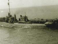 Профилна снимка - Стефан Геров