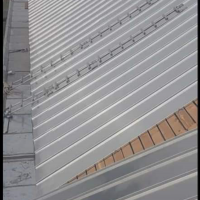 Профилна снимка - Янков Янков