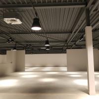 Профилна снимка - Орлин Петров