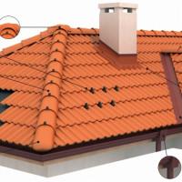 Профилна снимка - Елисей Борисов