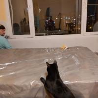 Профилна снимка - Светослав Цветанов