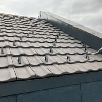 Профилна снимка - Златан Илиев