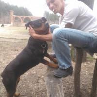 Профилна снимка - Петър караиванов