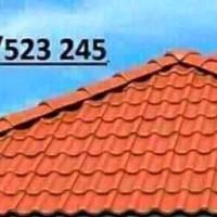 Профилна снимка - Васил Васил