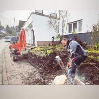 Профилна снимка - Апостол Викторов